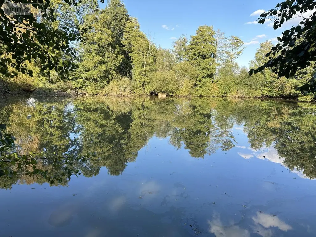 Terrains de loisirs bois etangs a vendre Saint-Georges-de-Montaigu 85600 Vendée 85 83900 euros 85020-1498 003