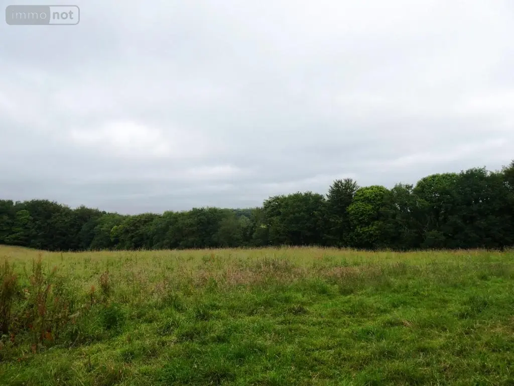 Terrains de loisirs bois etangs a vendre Plouray 56770 Morbihan 56 15990 euros 56075-2387 003