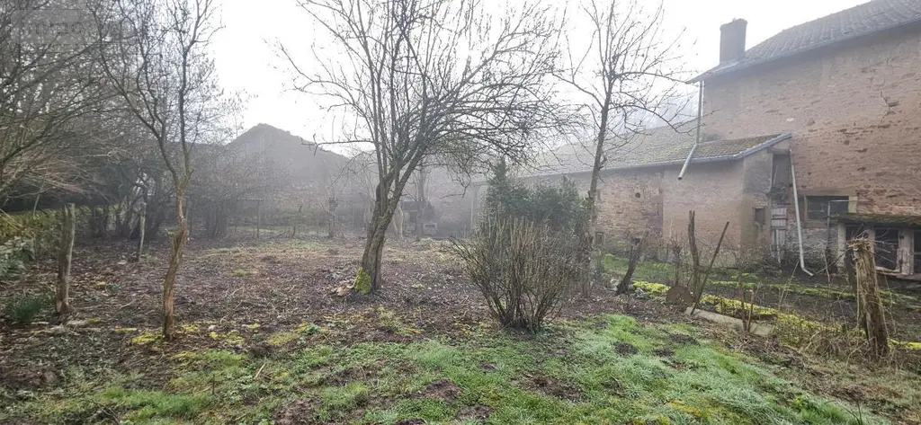 Maison a vendre Ménil-sur-Belvitte 88700 Vosges 88 114 m2 99000 euros 88061-822 017