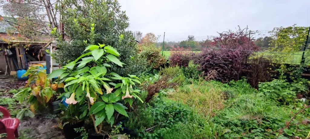 Maison a vendre Buironfosse 02620 Aisne 02 85 m2 4 pièces 70000 euros 02082-577 007