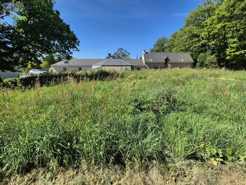 Terrain a batir a vendre Missiriac 56140 Morbihan 56 60000 euros 56049-796 003