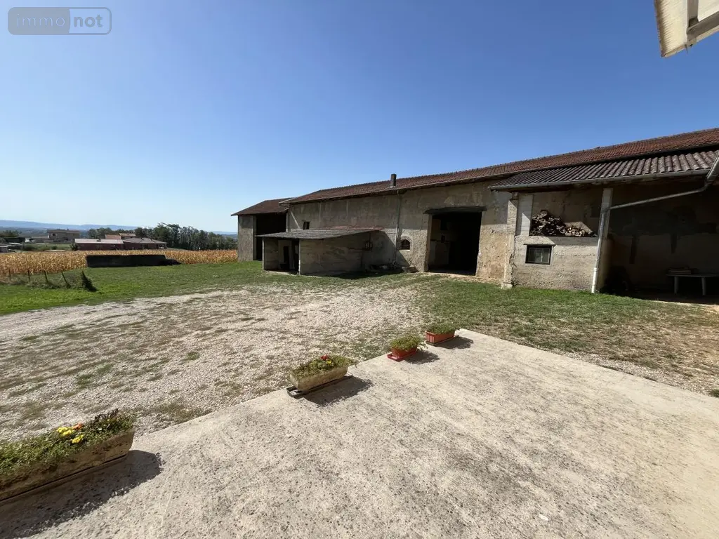 Maison a vendre Villieu-Loyes-Mollon 01800 Ain 01 229 m2 11 pièces 625000 euros 01067-994 002
