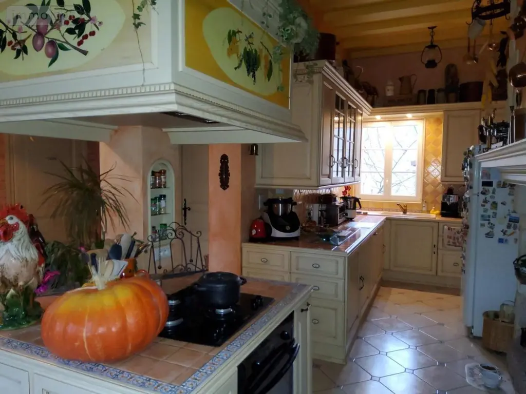 Maison a vendre Chouilly 51530 Marne 51 430 m2 11 pièces 630000 euros 51022-2296 007