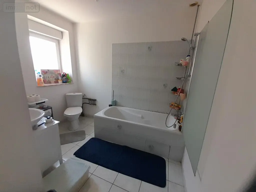 Immeuble de rapport a vendre Assé-le-Bérenger 53600 Mayenne 53 212 m2 171900 euros 53018-1793 007