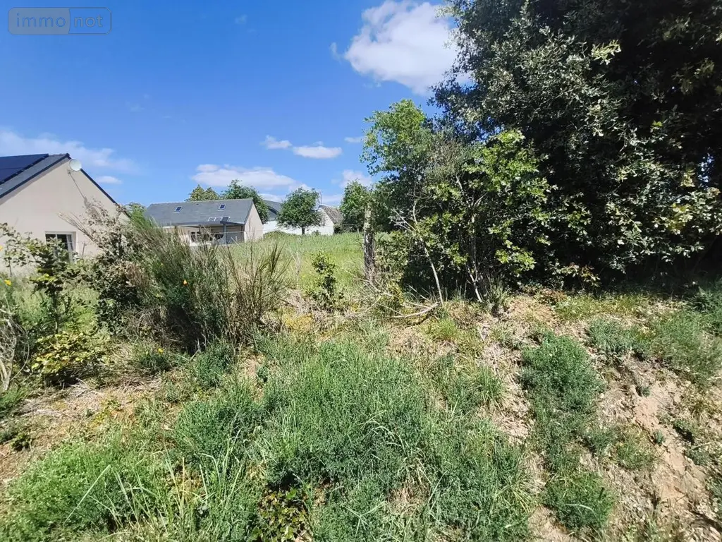 Terrain a batir a vendre Missillac 44780 Loire-Atlantique 44 53500 euros 56014-802 002