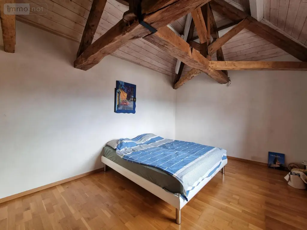 Immeuble de rapport a vendre Challex 01630 Ain 01 140 m2 584000 euros 01047-857 011