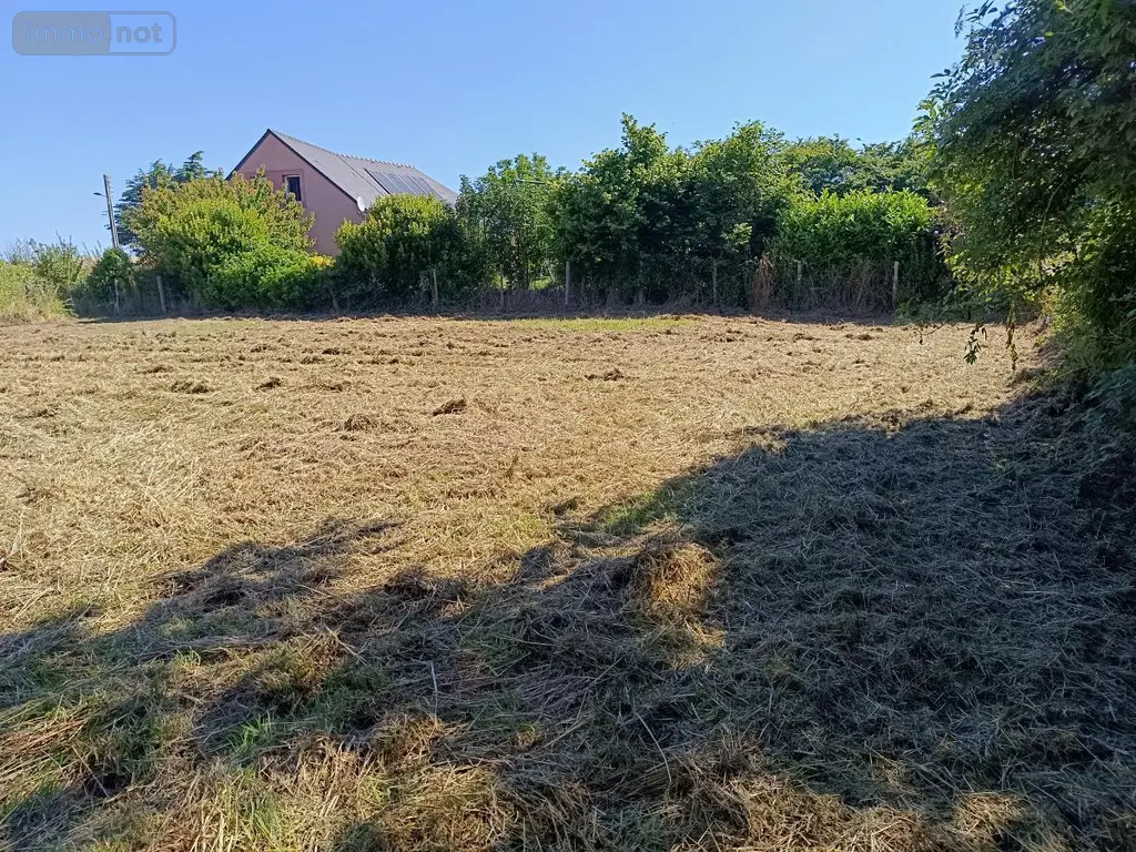 Terrain a batir a vendre Loiré 49440 Maine-et-Loire 49 81200 euros 49095-1542 005