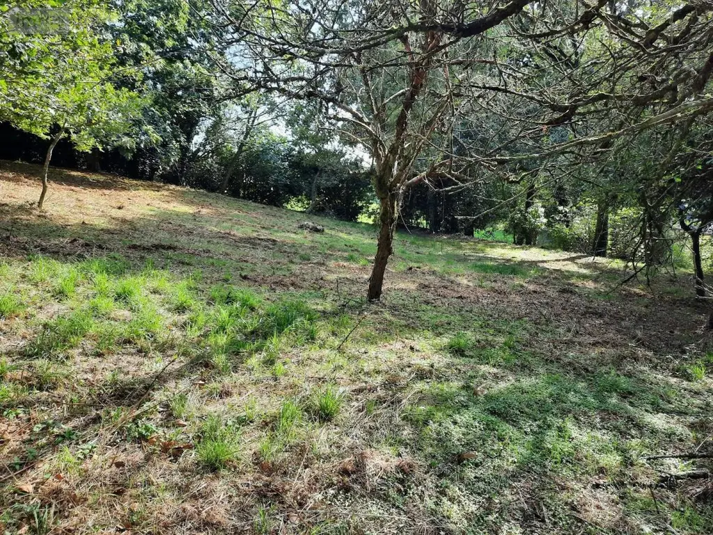 Terrain a batir a vendre Taupont 56800 Morbihan 56 43600 euros 56044-1478 002