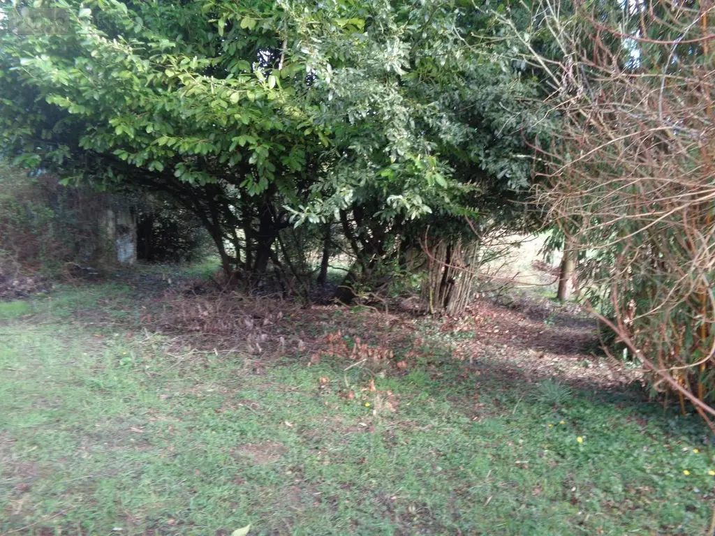 Maison a vendre Dompierre-sur-Authie 80150 Somme 80 71 m2 5 pièces 156500 euros 62023-3911 014