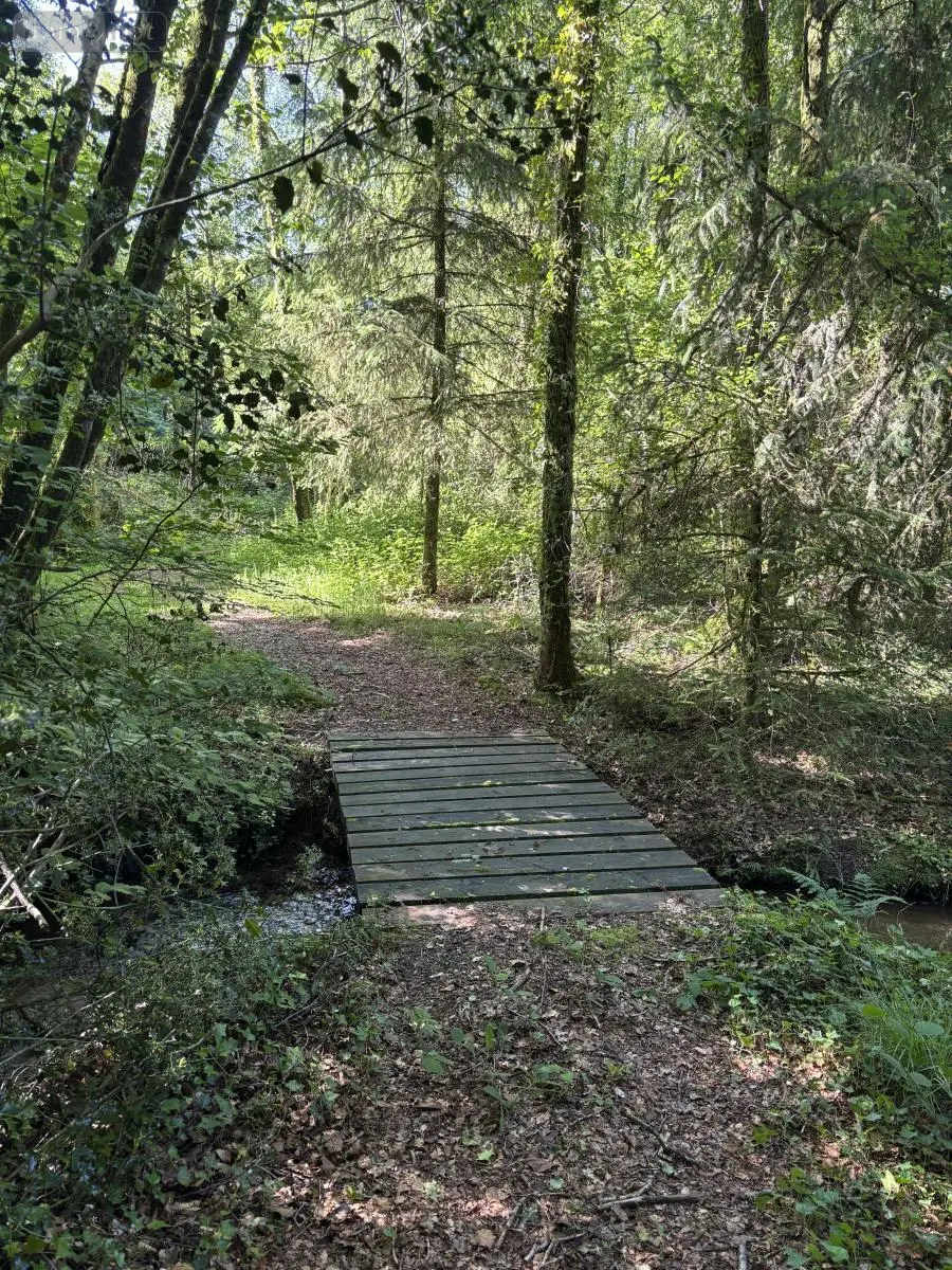 Terrains de loisirs bois etangs a vendre Noues de Sienne 14380 Calvados 14 168800 euros 14076-5956 013