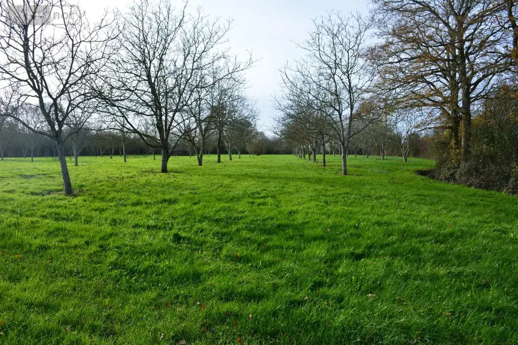 Terrains de loisirs bois etangs a vendre Grez-en-Bouère 53290 Mayenne 53 37450 euros 53039-382 001