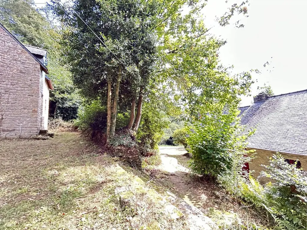 Maison a vendre Lizio 56460 Morbihan 56 260 m2 201900 euros 56046-1245 039