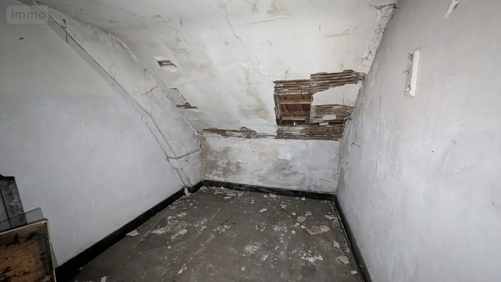 Immeuble de rapport a vendre Vichy 03200 Allier 03 588 m2 398240 euros 03019-167 054