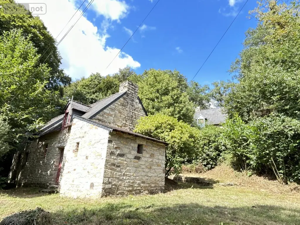 Maison a vendre Lizio 56460 Morbihan 56 260 m2 201900 euros 56046-1245 002