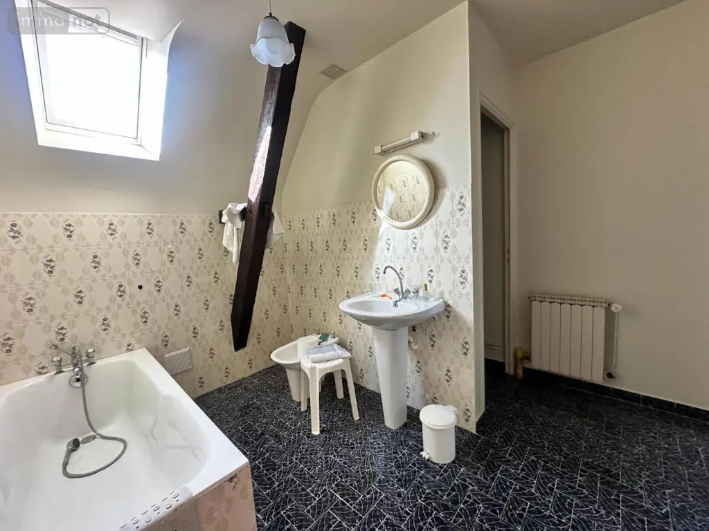 Maison a vendre Noyant-de-Touraine 37800 Indre-et-Loire 37 120 m2 7 pièces 501300 euros 37072-643 013