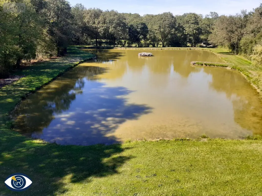 Terrains de loisirs bois etangs a vendre Mézangers 53600 Mayenne 53 63000 euros 53004-1296 002