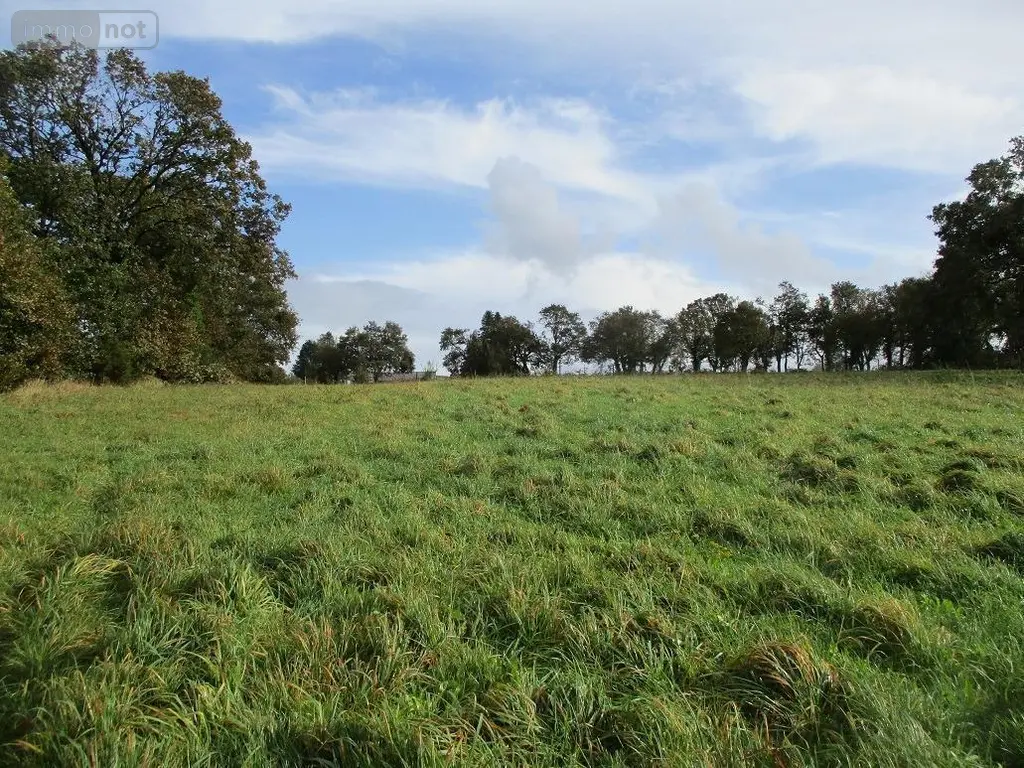 Divers a vendre Carhaix-Plouguer 29270 Finistère 29 9840 m2 95400 euros 29064-2753 002