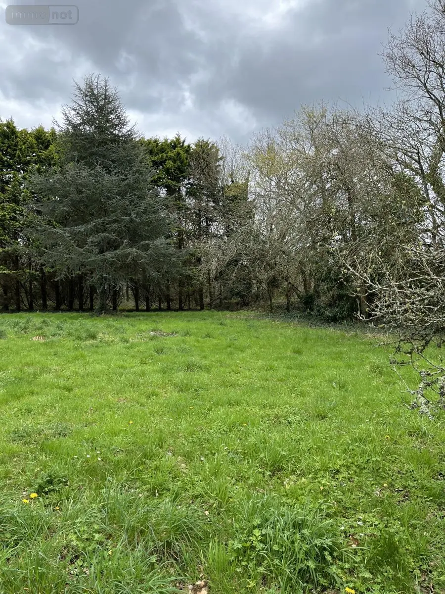 Maison a vendre La Forêt-Fouesnant 29940 Finistère 29 67 m2 3 pièces 391875 euros 29014-2763 011