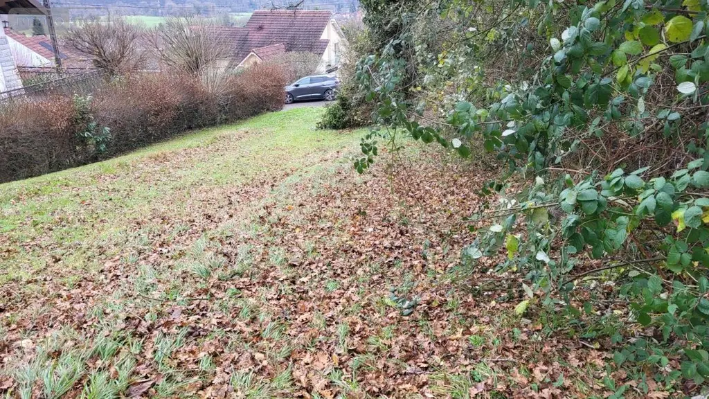 Terrain a batir a vendre Bart 25420 Doubs 25 99000 euros 25054-1738 002