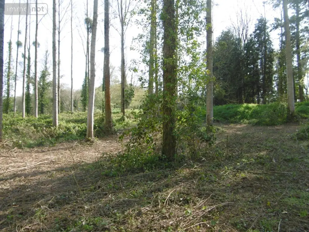 Terrains de loisirs bois etangs a vendre Pont-Farcy 50420 Manche 50 11000 euros 14076-5642 006