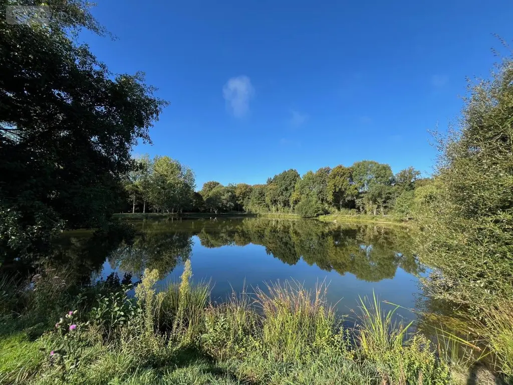 Terrains de loisirs bois etangs a vendre Saint-Christophe-du-Luat 53150 Mayenne 53 84320 euros 53078-1877 003