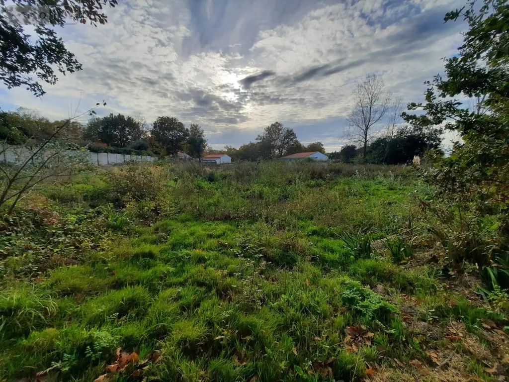 Terrain a batir a vendre Saint-Hilaire-de-Riez 85270 Vendée 85 214760 euros 85091-5170 001