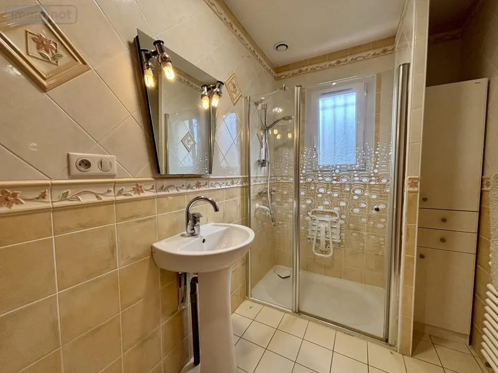 Maison a vendre Valence-en-Poitou 86700 Vienne 86 102 m2 4 pièces 159000 euros 86001-9 008