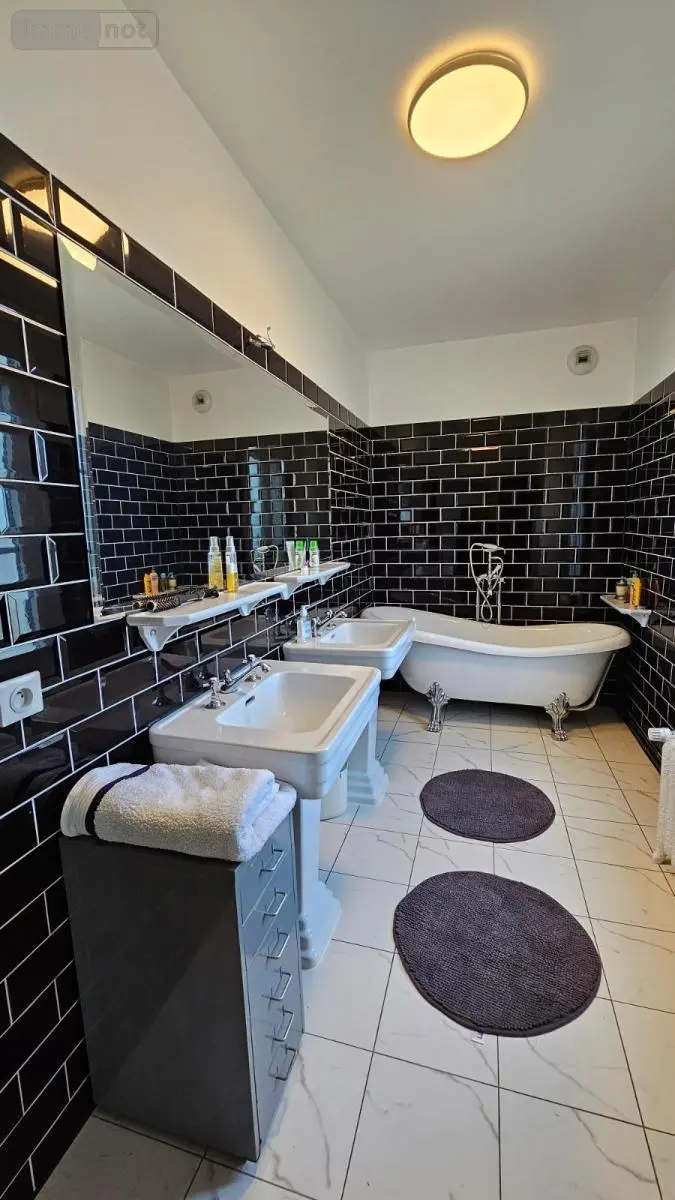 Maison a vendre Vendôme 41100 Loir-et-Cher 41 362 m2 9 pièces 612850 euros 41050-2776 013