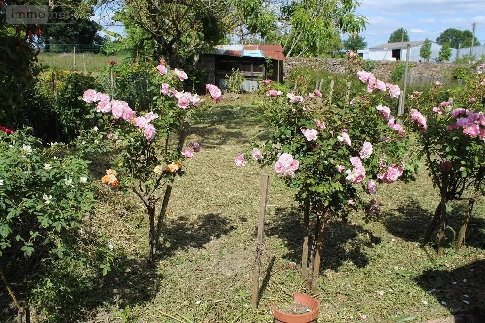 Maison a vendre La Bigottière 53240 Mayenne 53 107 m2 4 pièces 74000 euros 53004-1106 015