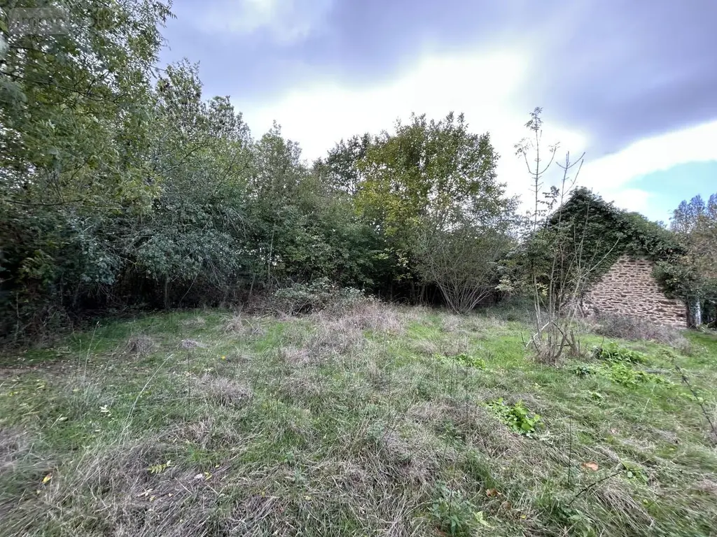 Maison a vendre Le Bourgneuf-la-Forêt 53410 Mayenne 53 40 m2 28000 euros 53006-1361 005