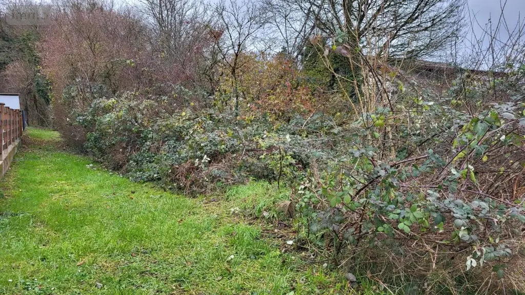 Terrain a batir a vendre Bart 25420 Doubs 25 99000 euros 25054-1738 004