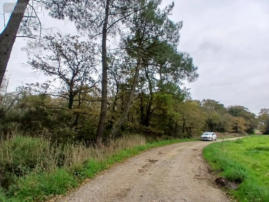 Terrains de loisirs bois etangs a vendre Allaire 56350 Morbihan 56 7500 euros 56084-354 006