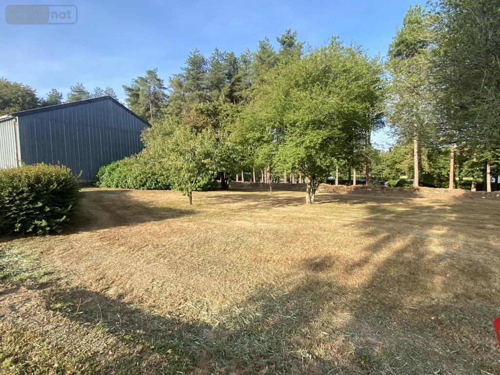 Terrain a batir a vendre Plumelec 56420 Morbihan 56 40000 euros 56056-189 002