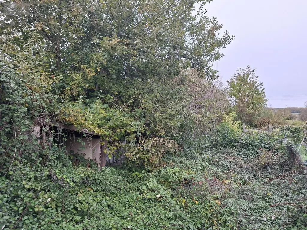 Maison a vendre Marles-les-Mines 62540 Pas-de-Calais 62 78 m2 4 pièces 71500 euros 62050-1829 009