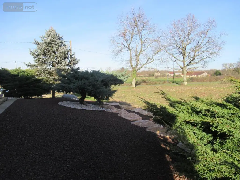 Viager maison Chavannes-sur-Reyssouze 01190 Ain 01 112 m2 4 pièces 50000 euros 01018-421 003