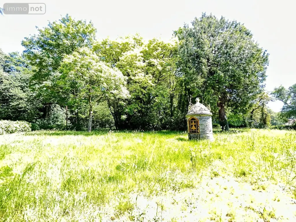 Maison a vendre Carentoir 56910 Morbihan 56 250 m2 8 pièces 161500 euros 56046-1366 006