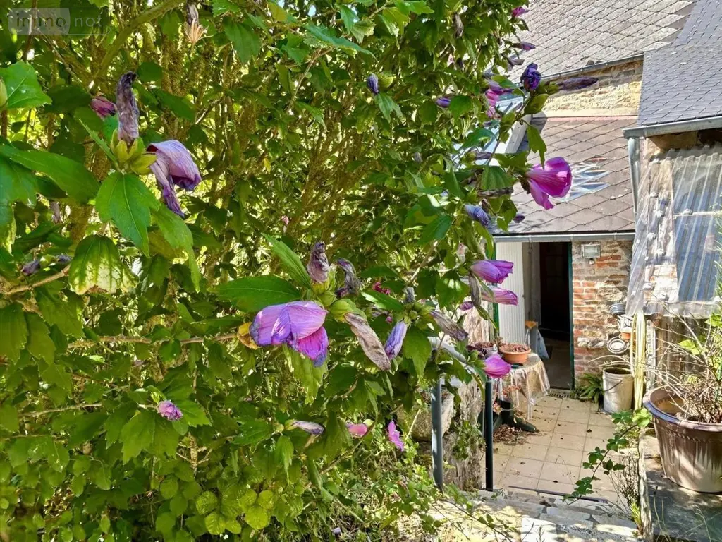 Maison a vendre Besneville 50390 Manche 50 113 m2 5 pièces 168640 euros 50061-2985 017