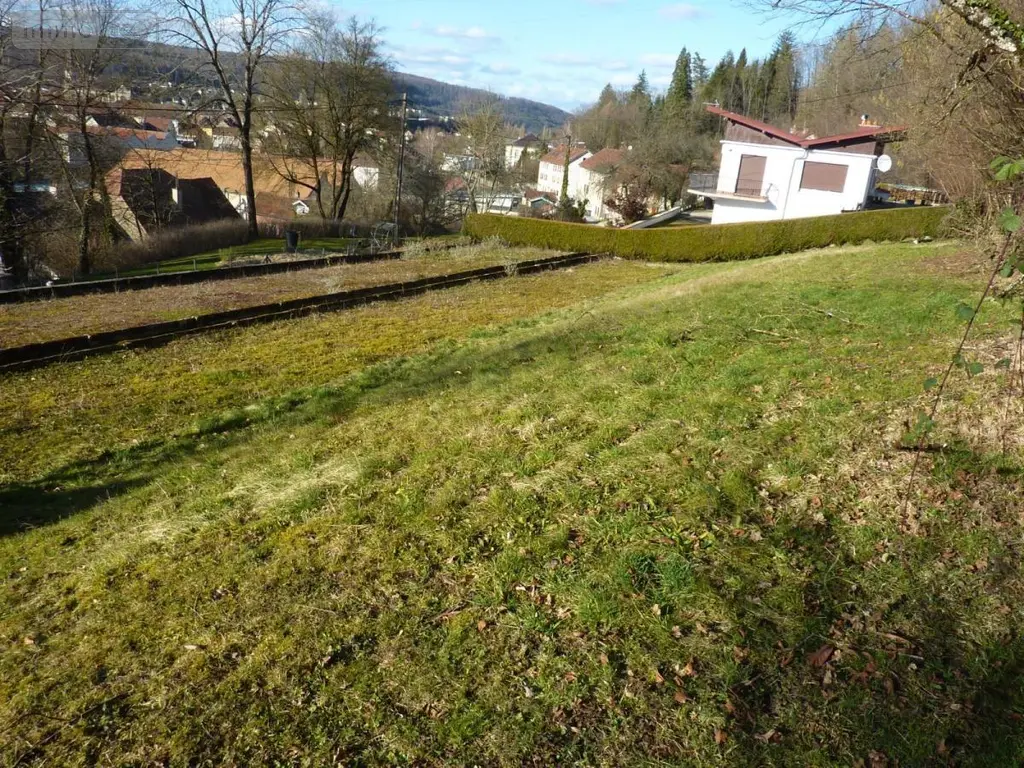 Terrain a batir a vendre Pont-de-Roide-Vermondans 25150 Doubs 25 50000 euros 25054-1709 003