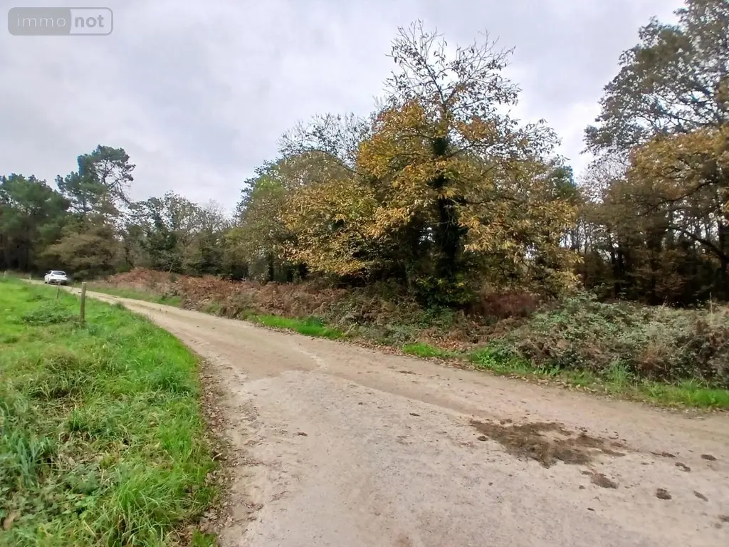 Terrains de loisirs bois etangs a vendre Allaire 56350 Morbihan 56 7500 euros 56084-354 002