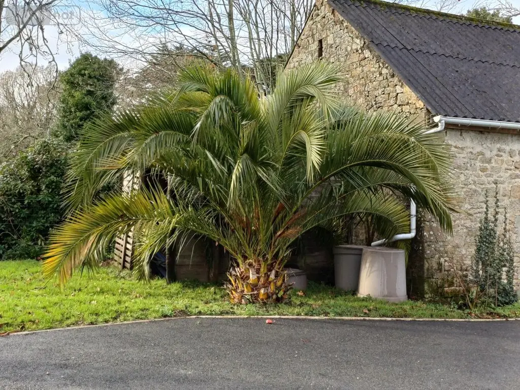 Maison a vendre Guidel 56520 Morbihan 56 257 m2 8 pièces 795915 euros 56091-9 007