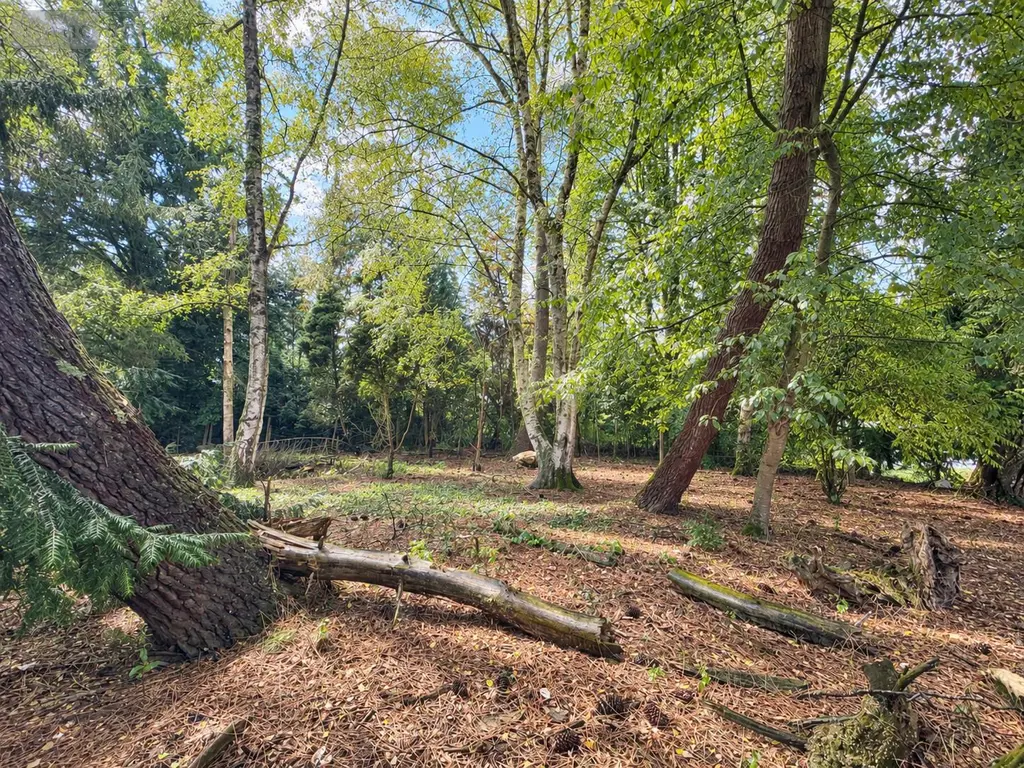 Terrain a batir a vendre Gueltas 56920 Morbihan 56 32400 euros 49 003