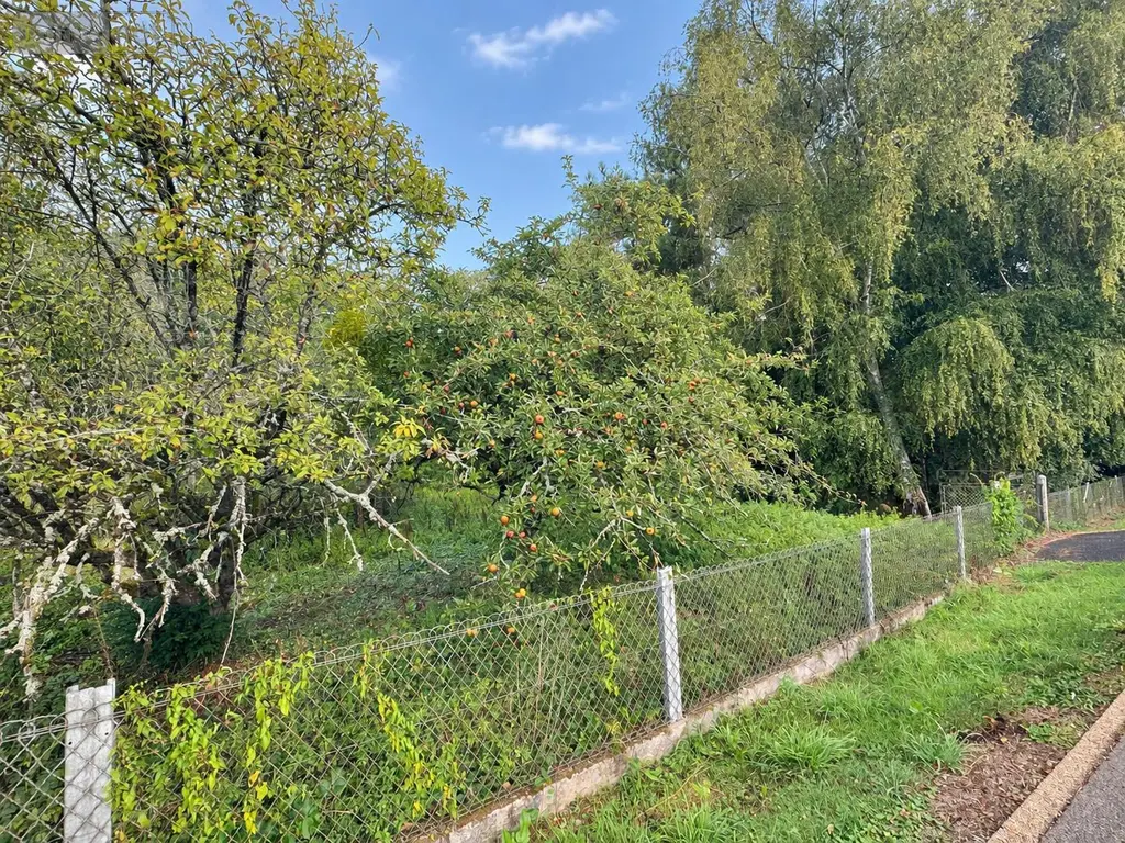 Terrain a batir a vendre Gueltas 56920 Morbihan 56 32400 euros 49 002