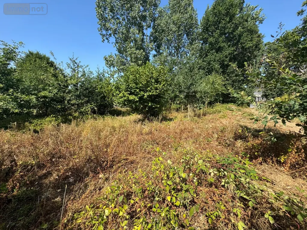 Terrain a batir a vendre Saint-Thuriau 56300 Morbihan 56 60420 euros 5LR 004