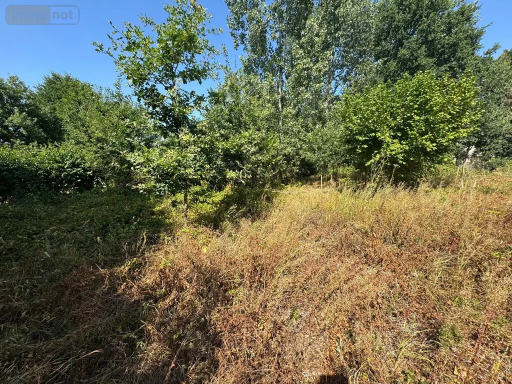 Terrain a batir a vendre Saint-Thuriau 56300 Morbihan 56 60420 euros 5LR 002