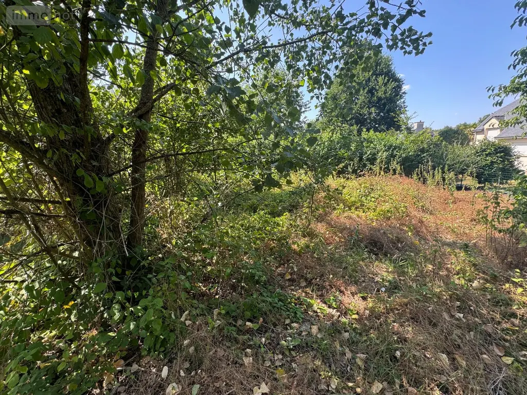 Terrain a batir a vendre Saint-Thuriau 56300 Morbihan 56 60420 euros 5LR 003