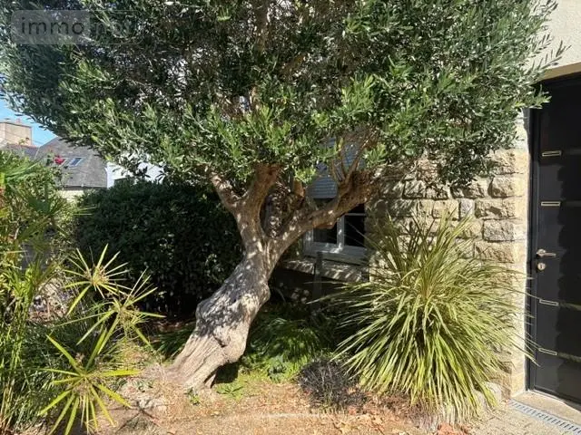 Maison a vendre Quimper 29000 Finistère 29 135 m2 6 pièces 265000 euros NJ59 004