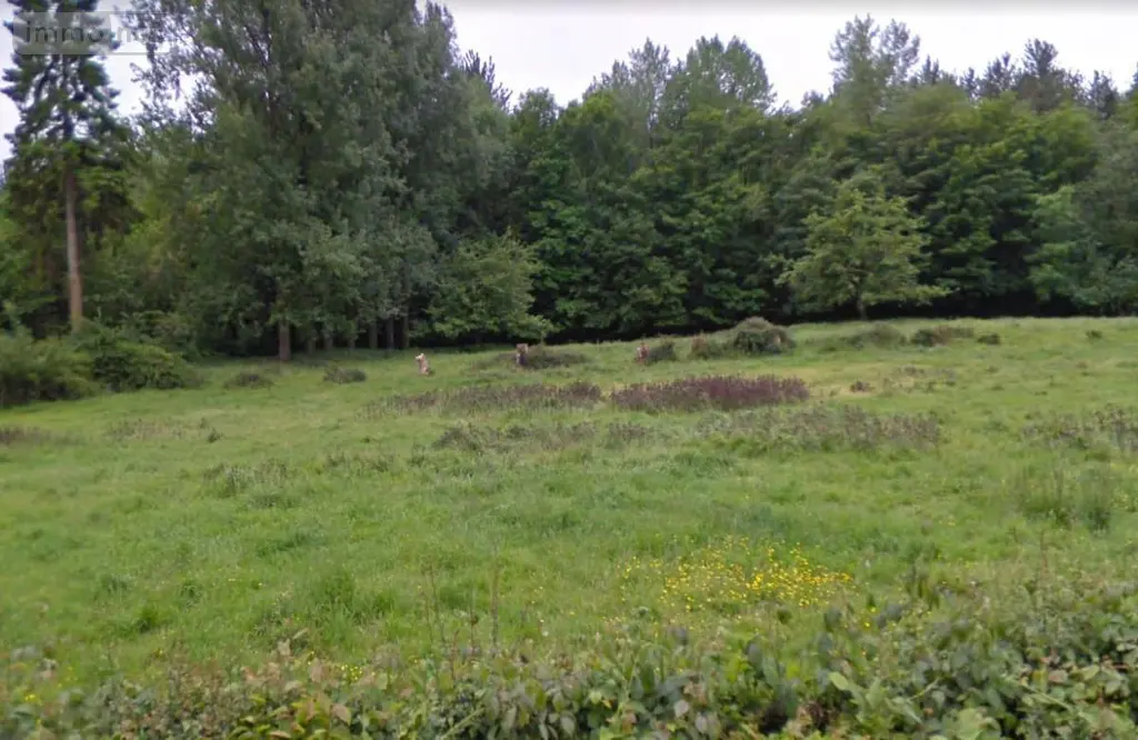 Terrain a batir a vendre Fressin 62140 Pas-de-Calais 62 31000 euros 62071-484 001