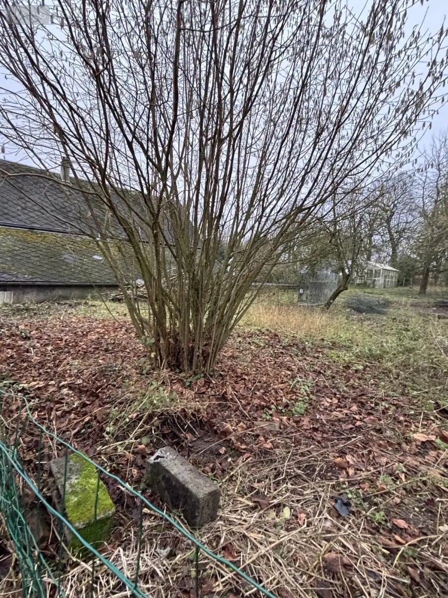 Terrain a batir a vendre Mailly-Maillet 80560 Somme 80 32000 euros 80121-2626 004