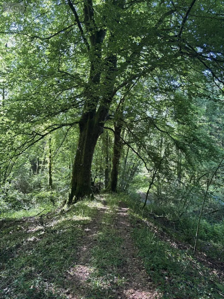 Terrains de loisirs bois etangs a vendre Noues de Sienne 14380 Calvados 14 168800 euros 14076-5956 007