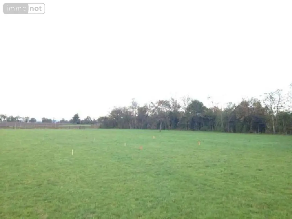 Terrain a batir a vendre Mesnil-Clinchamps 14380 Calvados 14 29000 euros 14076-5556 003